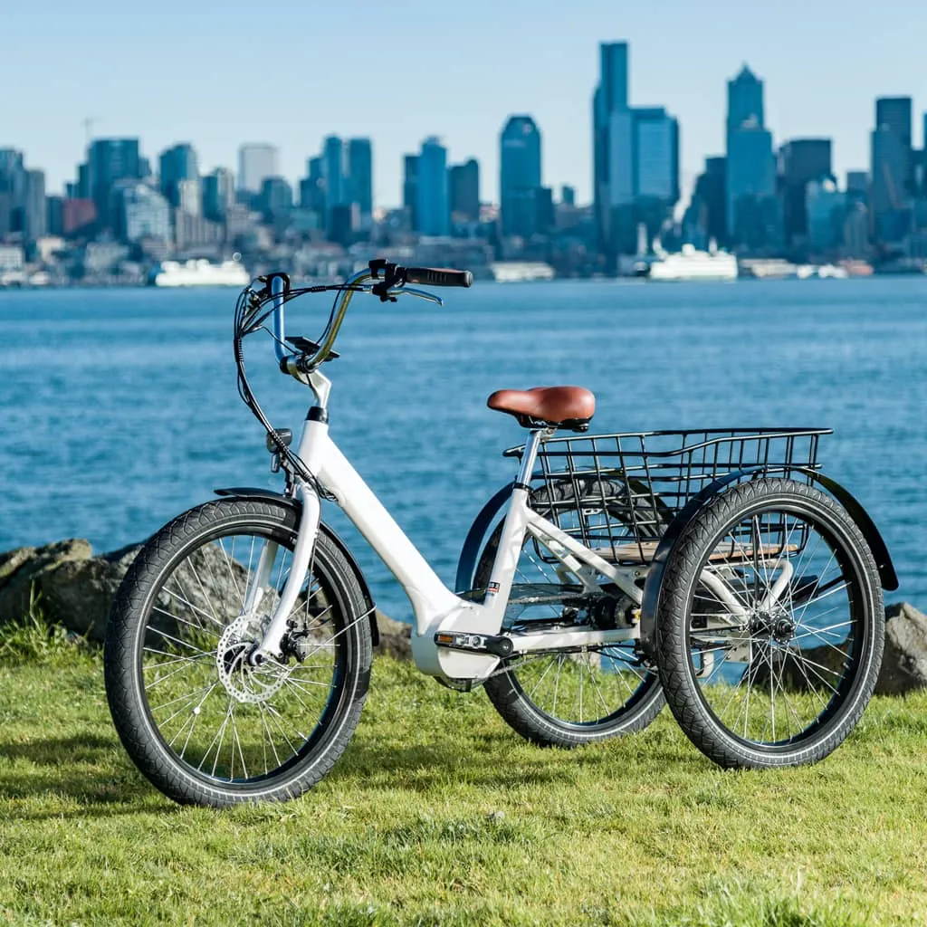 White electric trike in front of the water and city skyline.