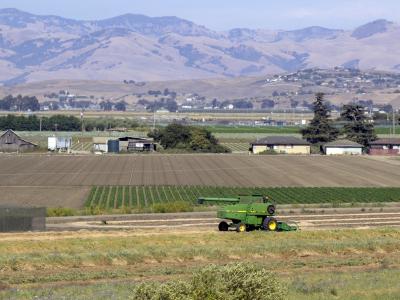 harvester in Central Valley field